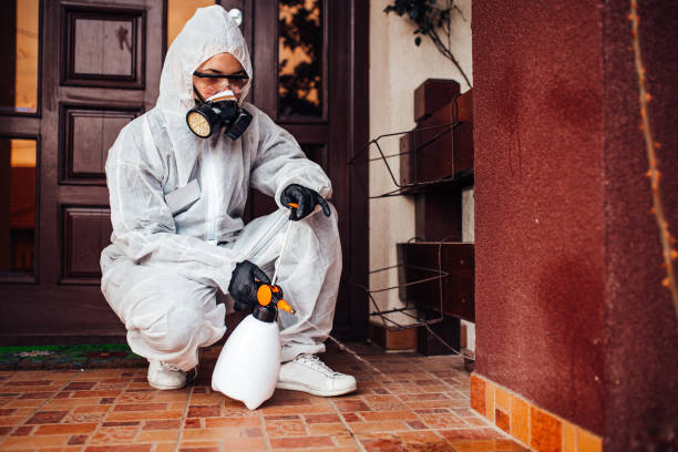 Reliable Ant Control contractor in Sorrento, LA by Show Me Pest Control